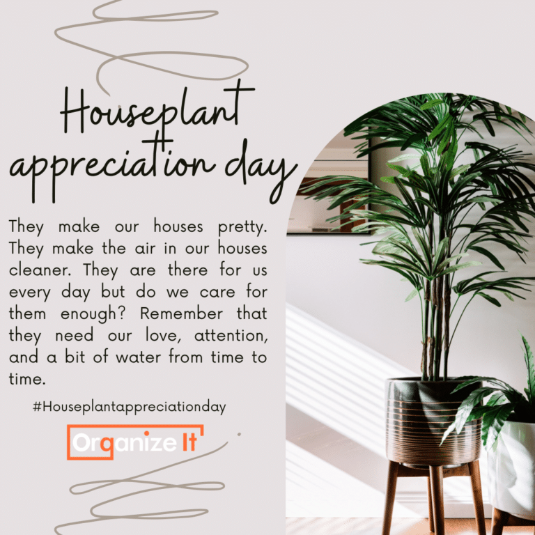 Houseplant Appreciation Day Organize It Cleaning Organizing